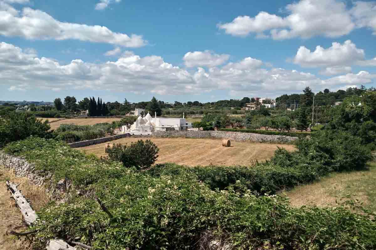 G.A.S progetti Euforica