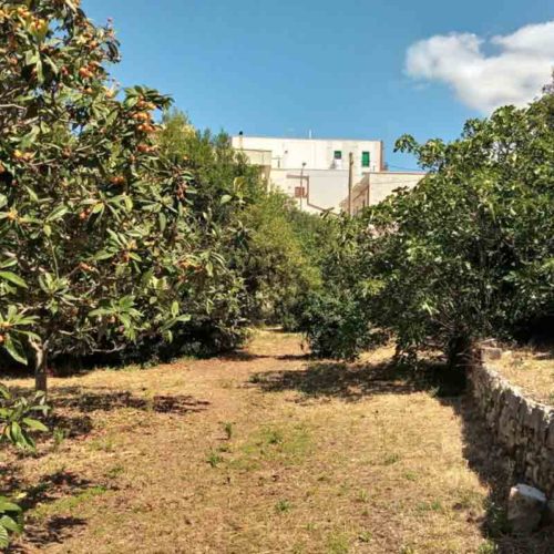 GAS Giardino Abilità Speciali Euforica