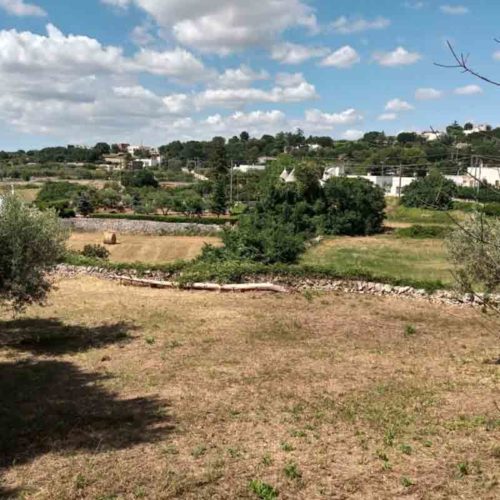 GAS Giardino Abilità Speciali Euforica
